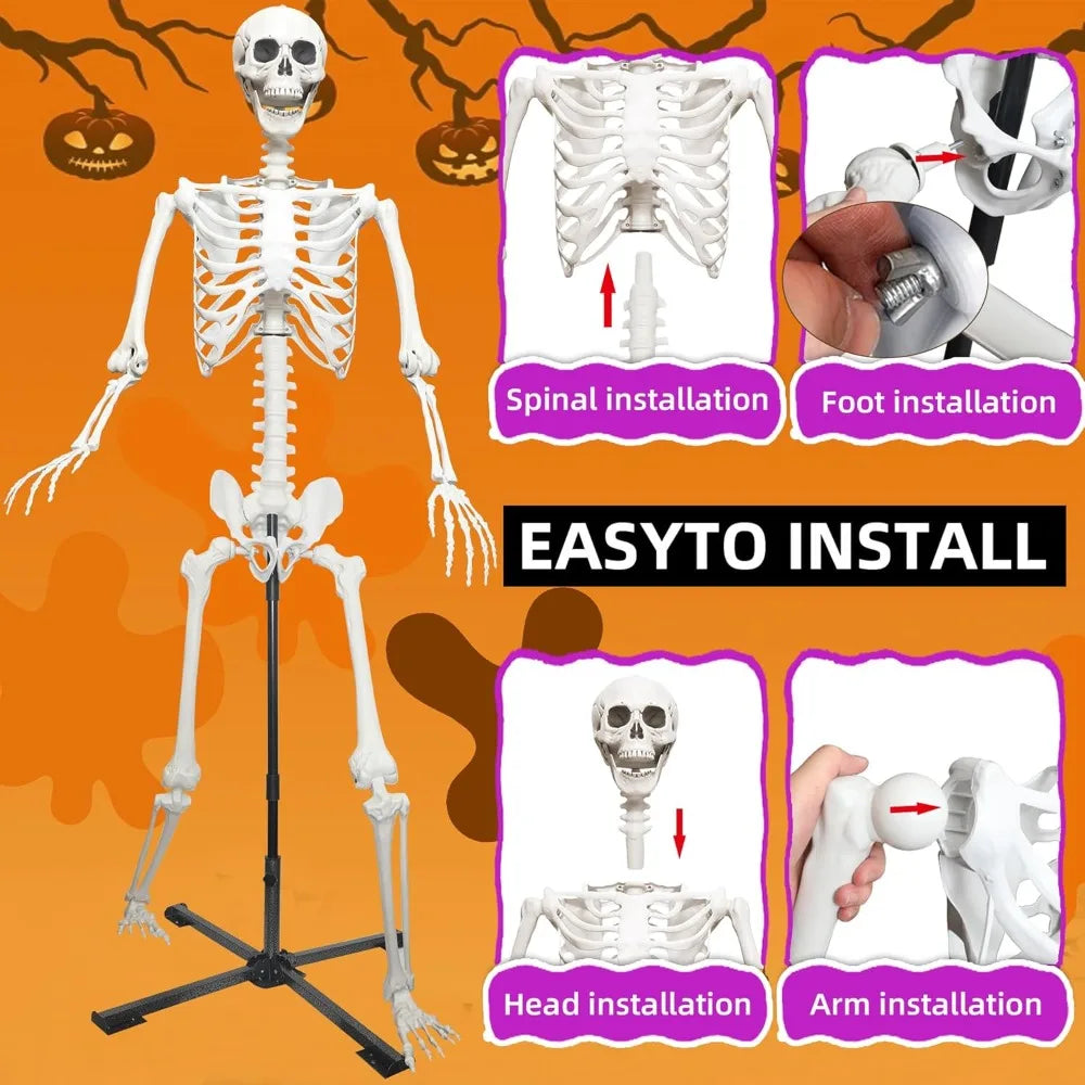 7.9Ft Life-Size Skeleton – Halloween Decoration with Adjustable Stand